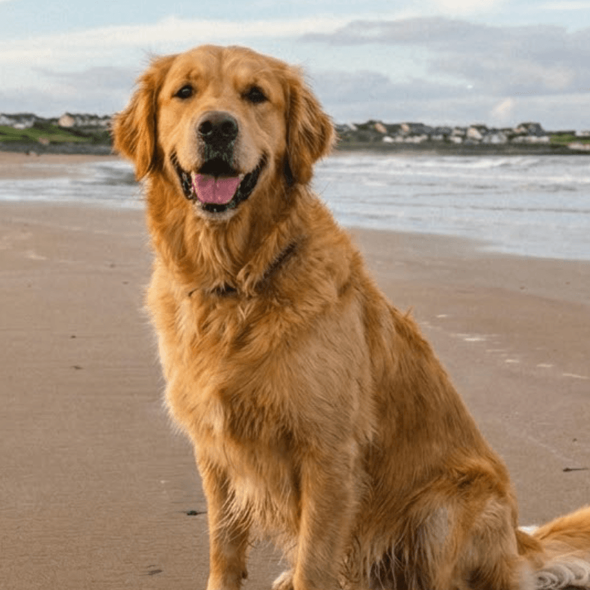 Lisa Keenan profile picture